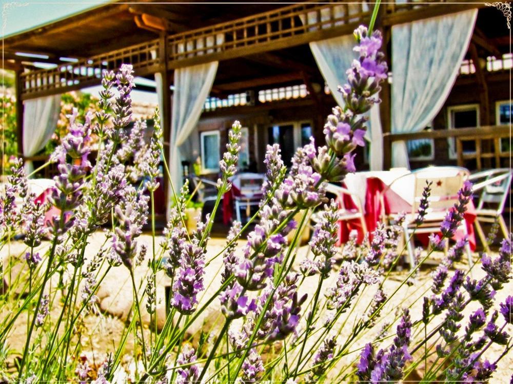 Hotel Miramare Bosa Marina Εξωτερικό φωτογραφία